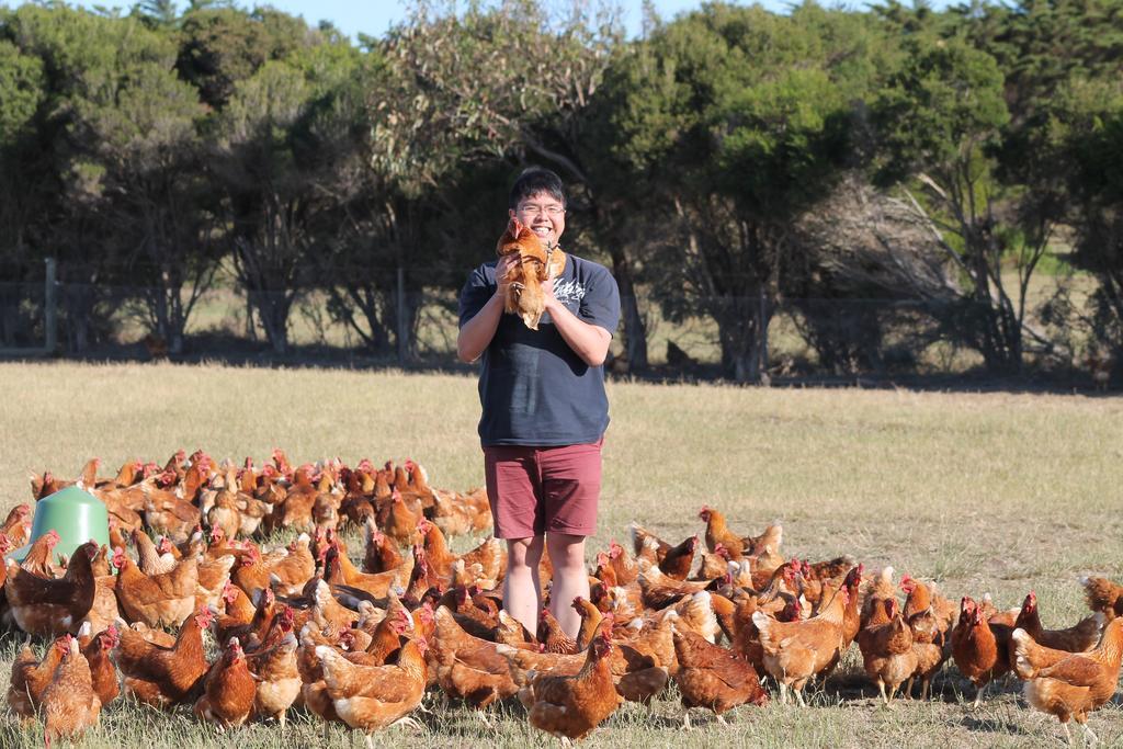 Bimbadeen Phillip Island Farm Retreats Ventnor Exterior foto